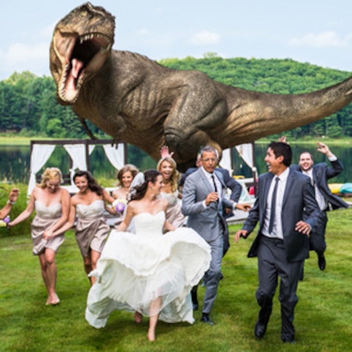 Jeff Goldblum Makes This Juric Park Themed Wedding Photo Extra Jeff Goldblum Makes This Juric Park Themed Wedding Photo Extra Special Check It Out E News